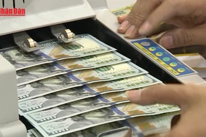 [Video] Đồng USD tiếp tục chịu áp lực giảm giá