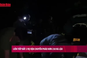 [Video] Liên tiếp bắt 2 vụ vận chuyển pháo trái phép hơn 230 kg 
