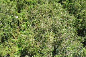 Khu du lịch sinh thái Mùa Xuân nhìn từ trên cao, với không gian xanh rộng lớn và hoang sơ.