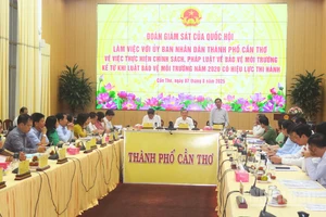 Quang cảnh buổi làm việc.