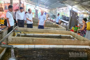 Hội Nông dân thành phố Cần Thơ và Ủy ban nhân dân xã Vị Thủy khảo sát tại hộ nuôi lươn ấp 6.