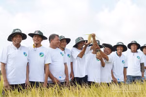 Đại biểu và nông dân tham quan mô hình sản xuất lúa tại Hợp tác xã Kiến Thành, xã Vị Thanh 1, thành phố Cần Thơ.