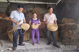 Ông Trương Trần Trọng Hiếu (áo xanh), Chủ tịch Ủy ban nhân dân xã Vị Thủy thăm và làm việc với Hợp tác xã Thanh Tú.