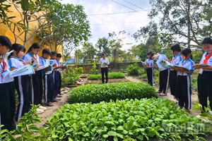 Không chỉ dừng lại ở việc tiếp thu kiến thức, nhiều học sinh đã biết vận dụng những gì học được từ sách vào thực tế cuộc sống.