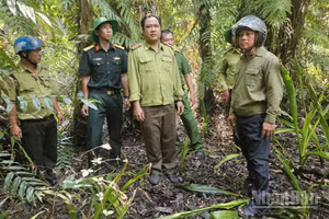 Đoàn công tác của Ban Chỉ đạo phòng cháy, chữa cháy rừng thành phố Cần Thơ kiểm tra thực địa Khu bảo tồn thiên nhiên Lung Ngọc Hoàng.