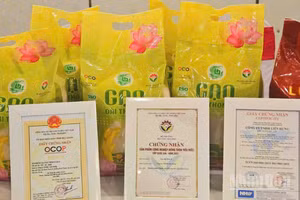 Cần Thơ công nhận thêm 11 sản phẩm của 9 chủ thể đạt chuẩn OCOP từ 3 đến 4 sao.
