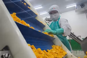 Kết quả tăng trưởng xuất nhập khẩu cho thấy sự chủ động thích ứng của cộng đồng doanh nghiệp thành phố trước những biến động của kinh tế thế giới.