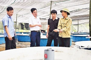 Mô hình Hợp tác xã Cá Tầm bản Sẹc Lống Mìn của gia đình ông Vũ Đình Hoàn (ngoài cùng bên phải) ở xã Quảng Tân.