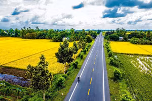 Bảy mô hình Đề án 1 triệu ha lúa tại Đồng bằng sông Cửu Long ghi nhận năng suất đều tăng, nâng cao thu nhập cho nông dân từ 4-7,6 triệu đồng/ha. (Ảnh Lê Phương)