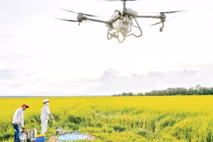 Các yếu tố mang tính quyết định cho chuyển đổi xanh, như khoa học công nghệ, chuyển đổi số, đổi mới sáng tạo… cần được đầu tư tương xứng. (Ảnh Thành Đạt) 