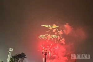 Pháo hoa rực rỡ trên bầu trời Hà Nội, khu vực Sân vận động Mỹ Đình. 