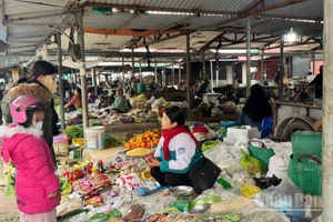 Một phiên chợ quê ở Hưng Yên. (Ảnh: HNV)