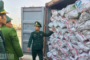Bộ đội Biên phòng Hải Phòng thu giữ container chứa than cục không có giấy tờ chứng minh nguồn gốc hợp pháp.