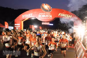 Giải chạy đã thu hút khoảng 5.000 vận động viên tham gia chạy ở các cự ly 5km, 10km và 21km.