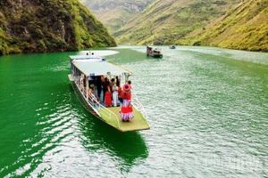"Check-in" trên dòng Nho Quế biếc xanh.
