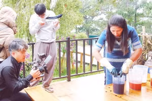 Lâm Đồng đẩy mạnh đưa thông tin về văn hóa, du lịch lên nền tảng số. (Ảnh MAI VĂN BẢO)