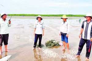 Lực lượng bảo vệ Hợp tác xã nghêu Rạng Đông (xã Thới Thuận, tỉnh Vĩnh Long) thường xuyên phối hợp Công an, Đồn biên phòng bảo vệ an ninh khu vực biên giới biển.