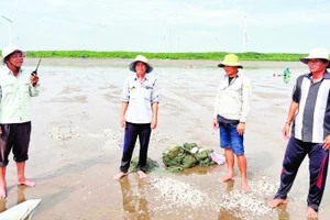 Lực lượng bảo vệ Hợp tác xã nghêu Rạng Đông (xã Thới Thuận, tỉnh Vĩnh Long) thường xuyên phối hợp Công an, Đồn biên phòng bảo vệ an ninh khu vực biên giới biển.