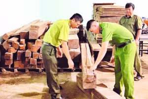 Công an xã Krông Ana phối hợp Hạt Kiểm lâm khu vực Lắk kiểm tra gỗ chưa xác định chủng loại tại nhà kho của ông T.V.T, không có hóa đơn, bản kê lâm sản hoặc giấy tờ chứng minh nguồn gốc hợp pháp.