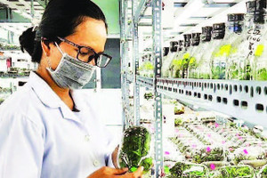 Tạo cơ chế thu hút, giữ nhân tài
