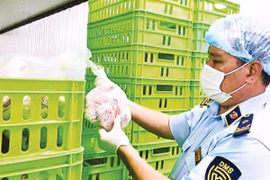 Chi cục Quản lý thị trường thành phố Cần Thơ kiểm tra cơ sở chế biến thực phẩm.