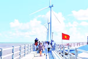 Du khách đến Bạc Liêu, nay là tỉnh Cà Mau, rất thích thú khi được trực tiếp đến thăm các turbine điện gió ngoài khơi.
