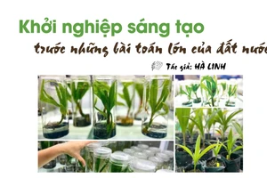 Khởi nghiệp sáng tạo trước những bài toán lớn của đất nước