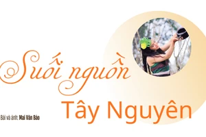 Suối nguồn Tây Nguyên