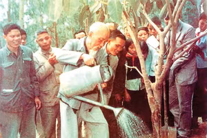 Hình Cây đa cuối cùng Bác trồng tại xã Vật Lại, Ba Vì, Hà Tây nay là Hà Nội ngày 16/2/1969 chỉ vài tháng trước khi Bác từ biệt chúng ta tới hôm nay vẫn tỏa bóng mát cho đời. (Ảnh Tư liệu)