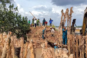 Xã Quới Thiện huy động phương tiện, lực lượng tại chỗ gia cố đoạn đê bao bị vỡ tại cồn Thanh Long.