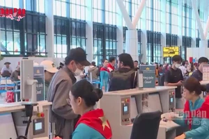 [Video] Mùng 3 Tết, sân bay Tân Sơn Nhất dự kiến phục vụ hơn 151.000 lượt hành khách