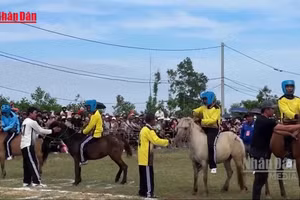 [Video] Sôi động hội đua ngựa gò Thì Thùng đầu Xuân Bính Ngọ