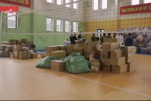 [Video] Triệt phá đường dây buôn bán thuốc lá điện tử đặc biệt lớn, thu giữ gần 50.000 sản phẩm