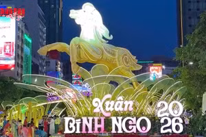 [Video] Đường hoa Nguyễn Huệ mở cửa đến mùng 6 Tết, đại cảnh giữ lại trưng bày đến 22/3