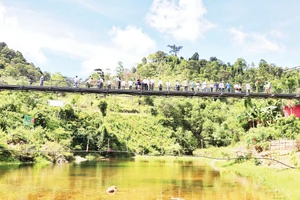 Nhiều đoàn khách đến tham quan, chiêm ngưỡng cá mát được bảo vệ trên suối Nặm Cướm. Ảnh: Bé Vinh