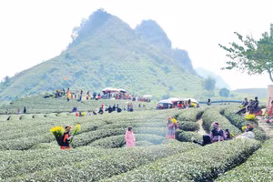 Bản làng giờ không chỉ an toàn hơn trước thiên tai, mà còn trở thành điểm đến sinh thái hấp dẫn. Ảnh: Nam Nguyễn