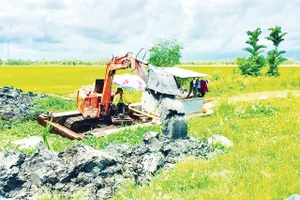 Người dân xã Mỹ Thuận, tỉnh An Giang gia cố đê bao bảo vệ sản xuất. Ảnh: Thùy Trang