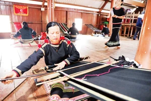 Phụ nữ Tây Nguyên không chỉ giữ vai trò trong gia đình mà đang trở thành lực lượng kinh tế quan trọng. Ảnh: Khiếu Minh