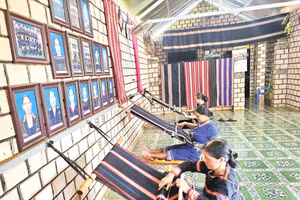 Các nghệ nhân Câu lạc bộ dệt thổ cẩm làng Phung cần mẫn bên khung cửi.