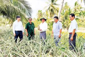 Lãnh đạo xã Hòa Bình thăm làng khóm Bưng Sẫm.