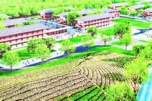 Phối cảnh trường phổ thông nội trú liên cấp xã Pa Tần.