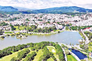 Khu vực trung tâm Lâm Đồng ngàn hoa.