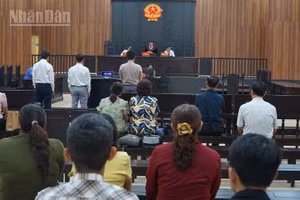 Hội đồng xét xử tuyên án.