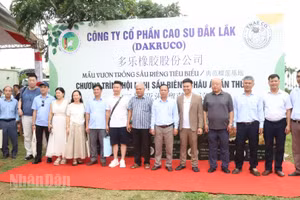Đoàn doanh nghiệp quốc tế tham gia Hội nghị sầu riêng châu Á lần thứ 2 tại Thành phố Hồ Chí Minh đến khảo sát và trải nghiệm vườn trồng sầu riêng của Dakruco.
