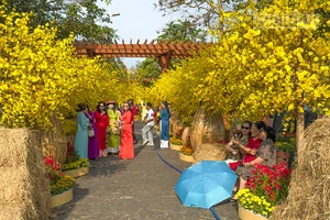 Du khách thích thú chụp ảnh ở các tiểu cảnh. 