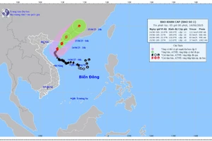 Bản đồ dự báo quỹ đạo và cường độ bão số 01 lúc 5 giờ ngày 14/6/2025.