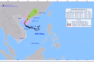Bản đồ dự báo quỹ đạo và cường độ bão số 01 lúc 5 giờ ngày 14/6/2025.