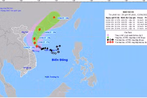 Bản đồ dự báo quỹ đạo và cường độ bão số 1 lúc 20 giờ ngày 12/6/2025.