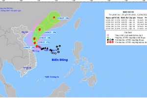 Bản đồ dự báo quỹ đạo và cường độ bão số 1 lúc 20 giờ ngày 12/6/2025.
