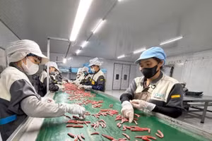 Doanh nghiệp tư nhân đầu tư dây chuyển sản xuất nông sản hiện đại, nâng cao năng suất và gia tăng giá trị sản phẩm phục vụ xuất khẩu. (Ảnh: PV)